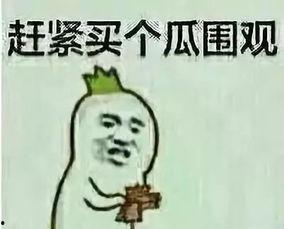 娱乐精神吃瓜群众,吃瓜群众的娱乐精神与娱乐圈风云