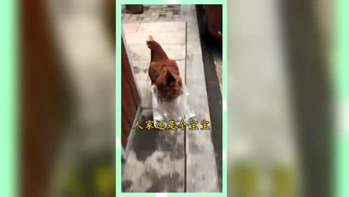 娱乐精神吃瓜群众,吃瓜群众的娱乐精神与娱乐圈风云