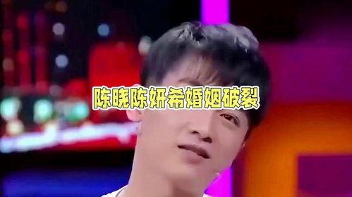 娱乐陈晓吃瓜小说