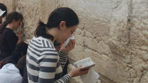 娱乐吃瓜君七七,揭秘娱乐圈背后的那些事儿