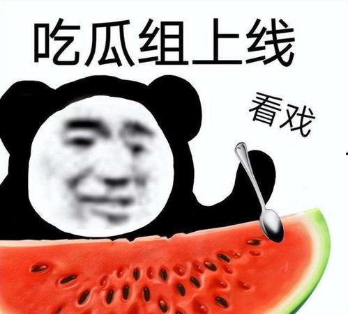 娱乐圈吃瓜小三