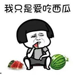 娱乐圈吃瓜的瓜