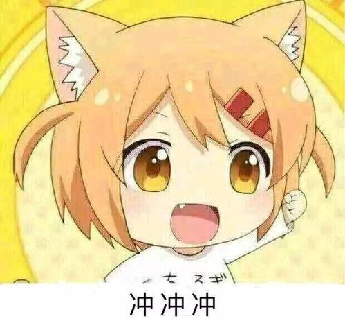 娱乐吃瓜君五条喵