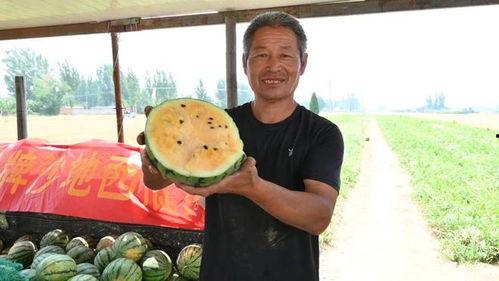 娱乐吃瓜基地的作品