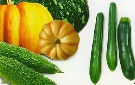 吃瓜娱乐场,吃瓜群众的狂欢盛宴