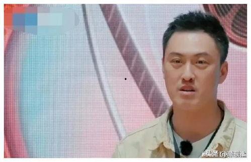 吃瓜娱乐圈爆料合集,明星幕后故事全收录