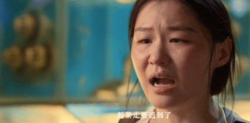 吃瓜娱乐社赵茹珍,吃瓜娱乐社的“瓜王”传奇